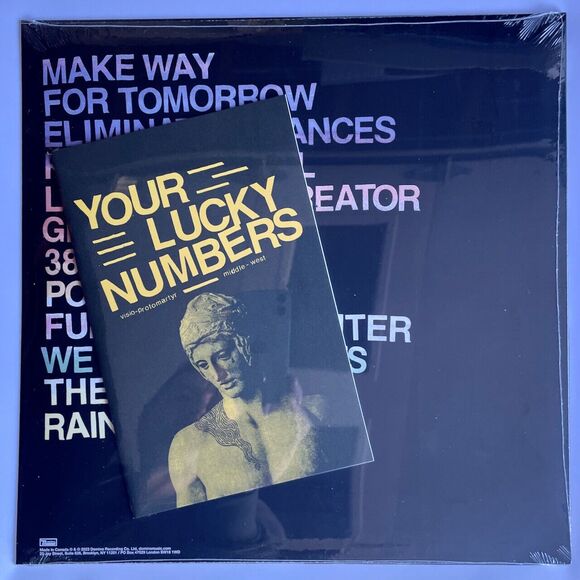 Protomartyr Formal Growth In The Desert Limited Blue Vinyl + Zine Slipmat NEW - Picture 4 of 6